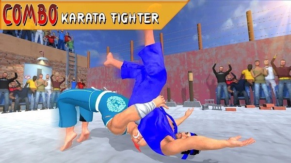 ֵ°(Tag Team Kung Fu Karate Fight) v1.0 ׿2