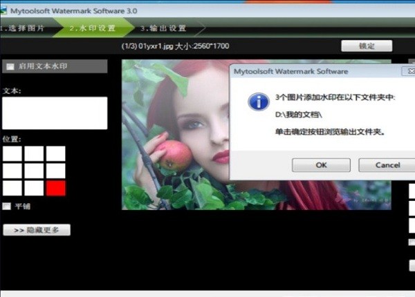 ˮӡܛ(Mytoolsoft Watermark Software) v5.0.10 ٷ 0