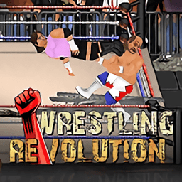 ˤǸ2dķͰ(wrestling revolution)