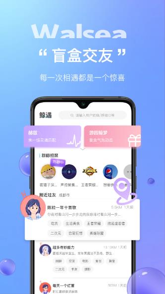 Walsea正式版 Walsea免费版v4.86截图欣赏