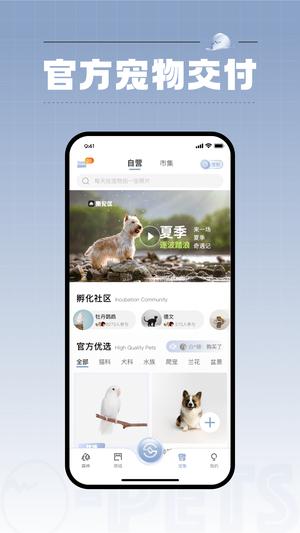 app v3.4.0 ׿°汾 3