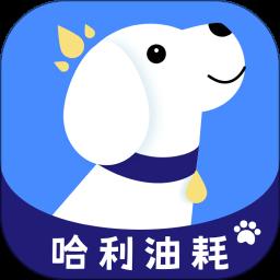 哈利油耗app手机版