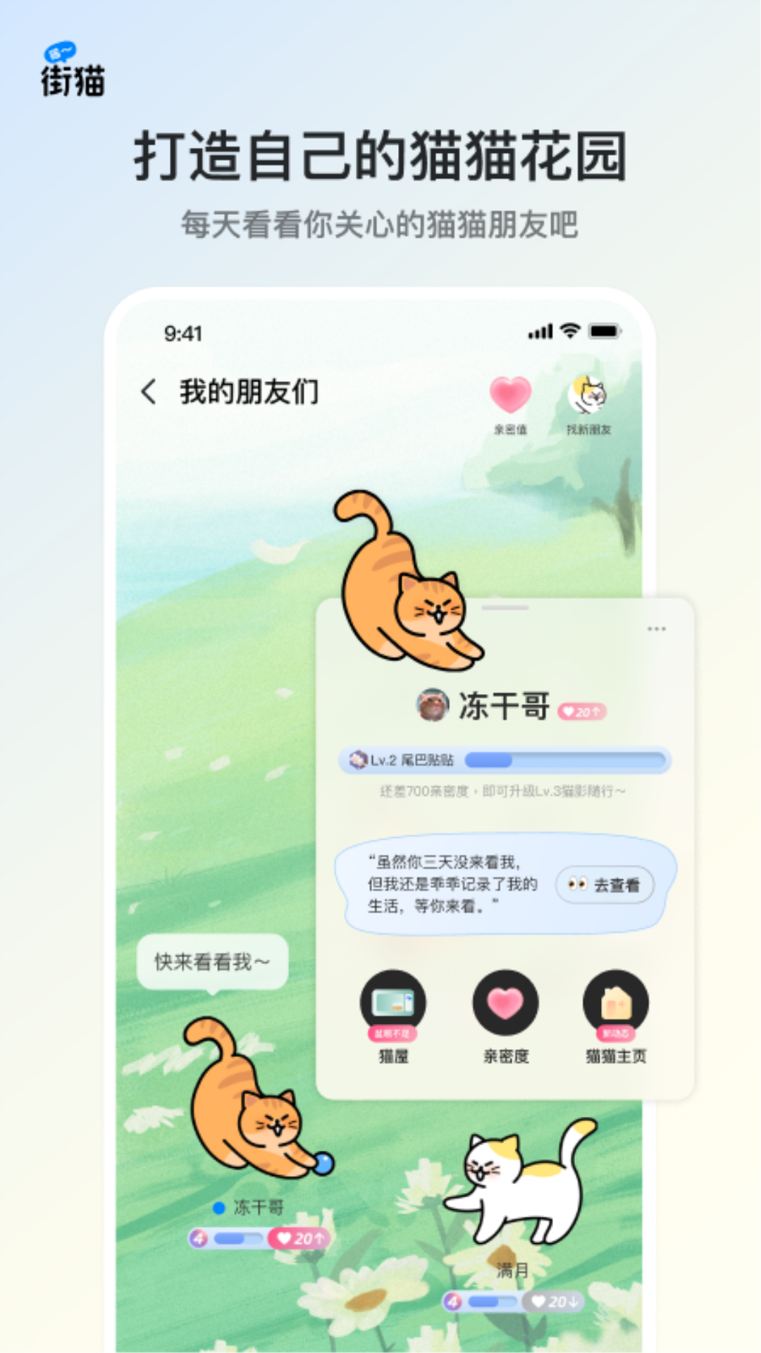 哈啰街猫最新版下载 v1.31.0安卓版 2