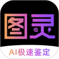 图灵鉴定app手机版