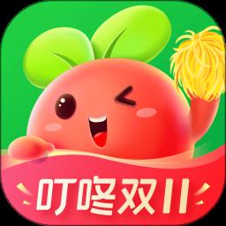 叮咚买菜app