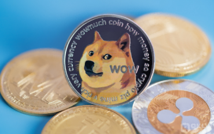 狗狗币（Dogecoin）的魅力与社区文化