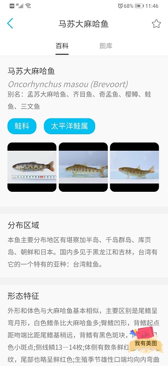 看魚應(yīng)用下載