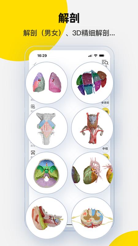 3Dbody解剖app官方版下载 v8.8.43 安卓版1