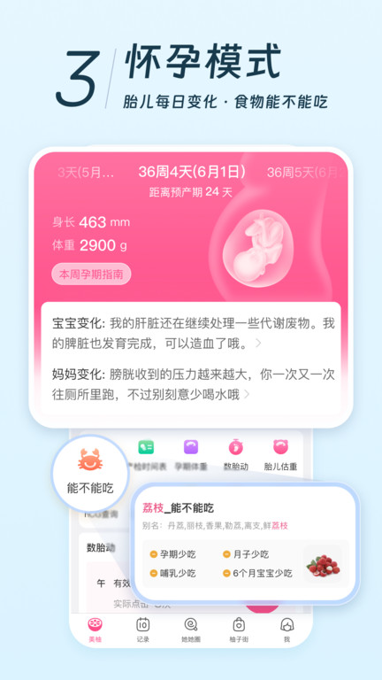 共享姨媽巾app