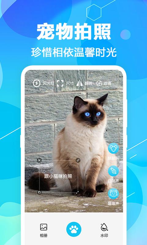 猫语翻译pet app手机版下载 v4.1.2121 安卓版 1