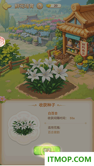 我的花园世界游戏