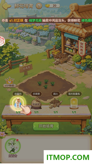 我的花园世界游戏