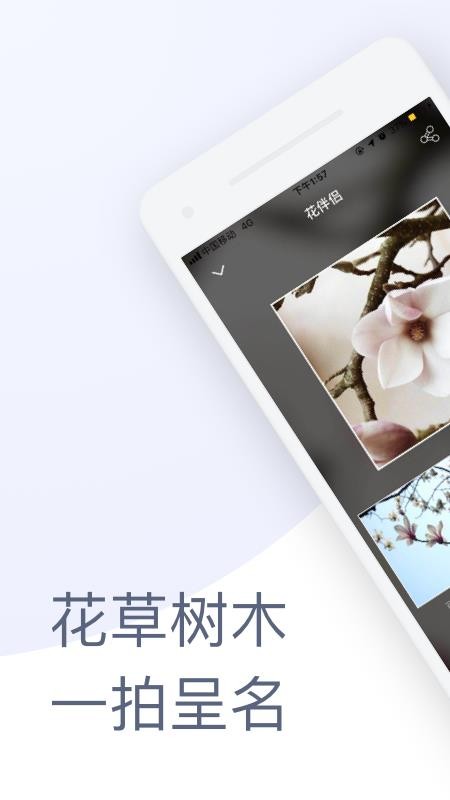 花伴侣识花软件(3)