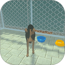 宠物救助站游戏 v187.1.3
