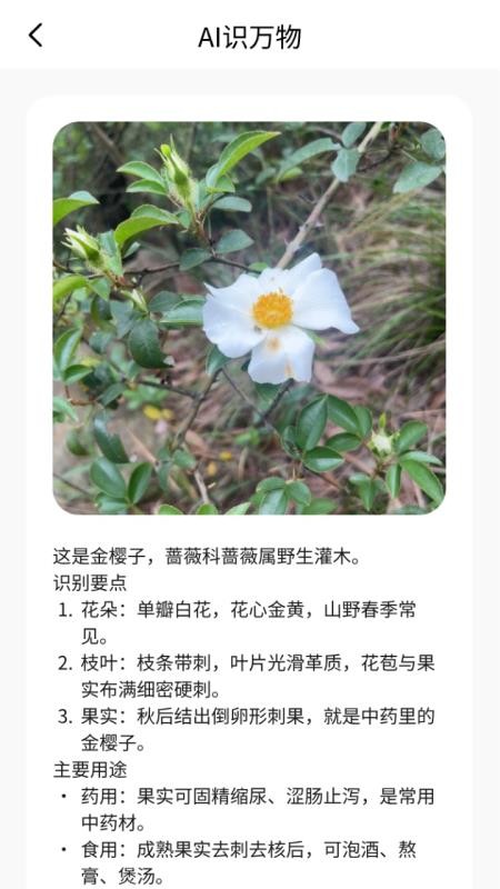 掌心扫描宝最新版v1.0.0 2