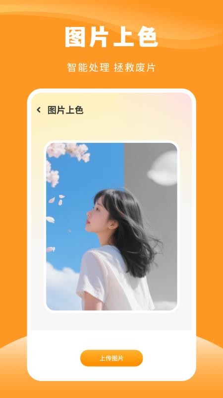 实时相机免费版v8.2.0(1)