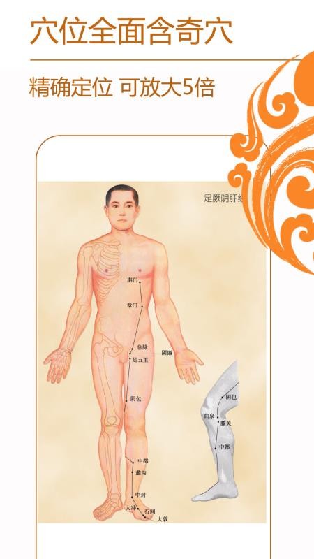 经络养生v4.1.0 4