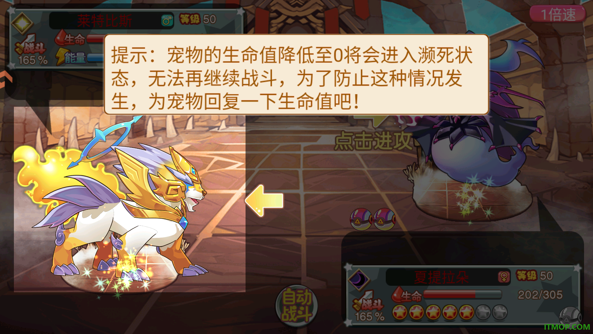 马戏团之夜游戏