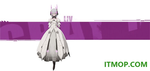 战双帕弥什B服
