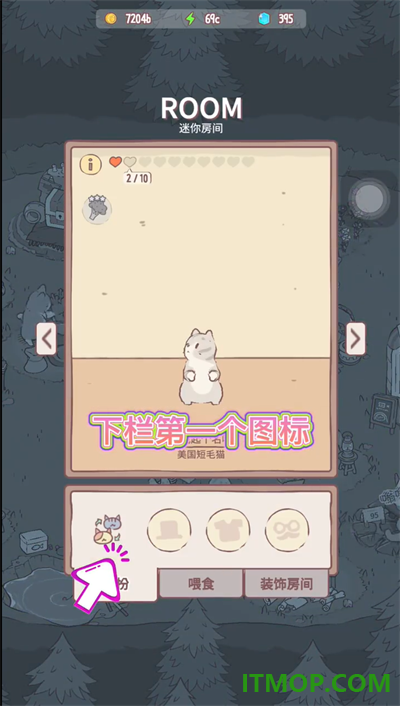 猫咪和汤小米版