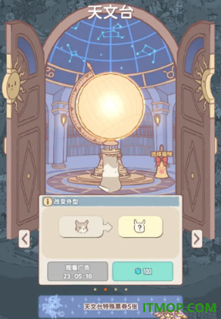 猫咪和汤B服