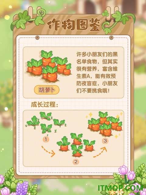 最终的梦幻岛手游