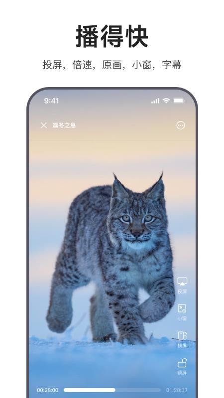迅雷浏览器软件最新版v2.25.0.12711(3)