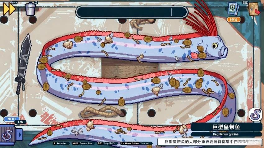 深海模拟钓鱼游戏v3.0(4)