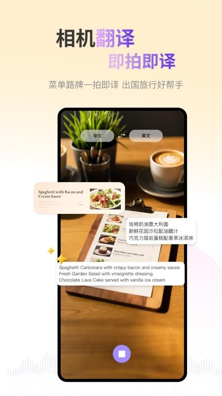 ViiTor实时翻译最新版v2.9.8(1)