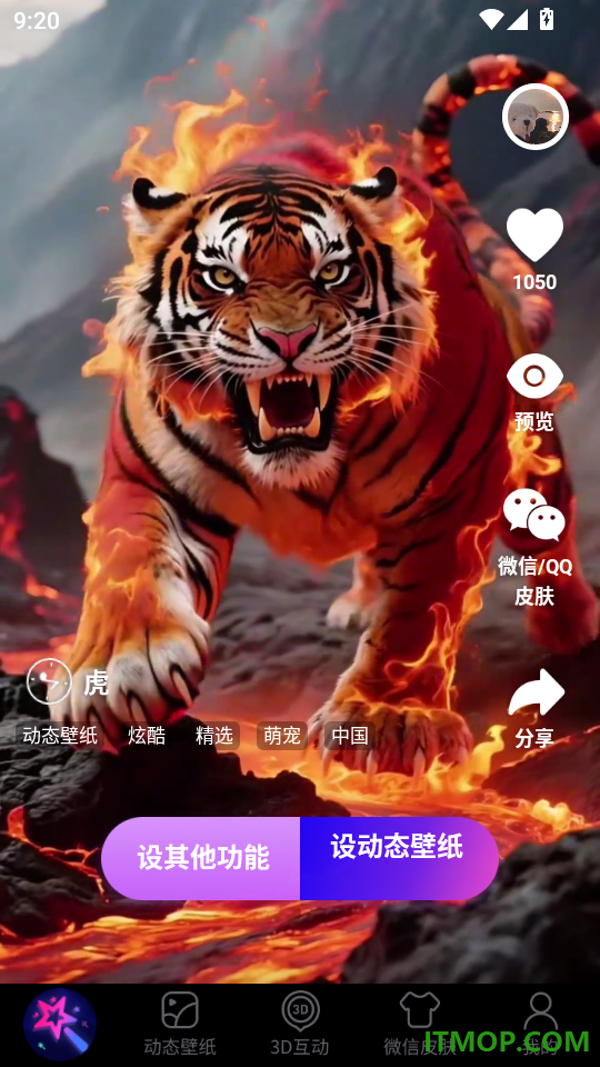 趣动壁纸最新版