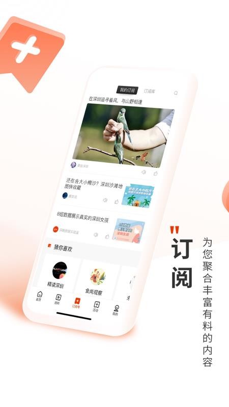 深圳Plus(深圳本地资讯)v5.3.8(1)