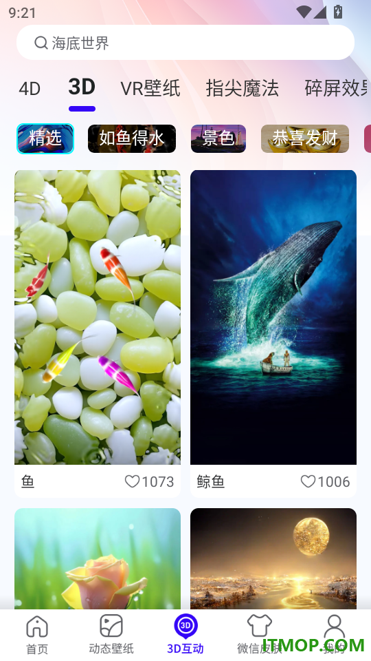 趣动壁纸最新版