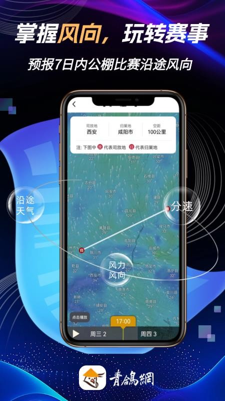 青鸽网(青年信鸽信息网)(1)