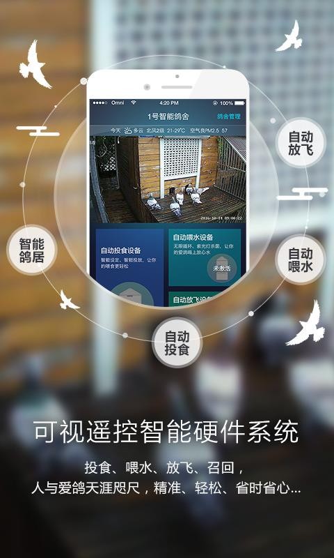 爱鸽者appv3.4.0(4)