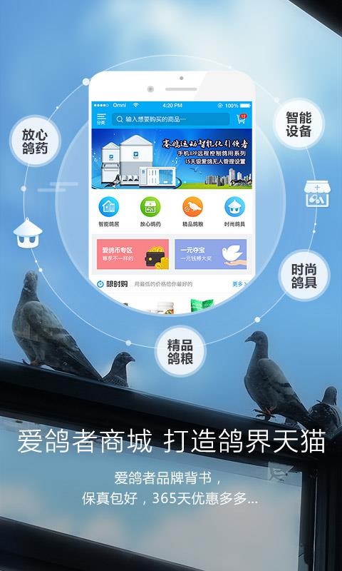 爱鸽者appv3.4.0(3)