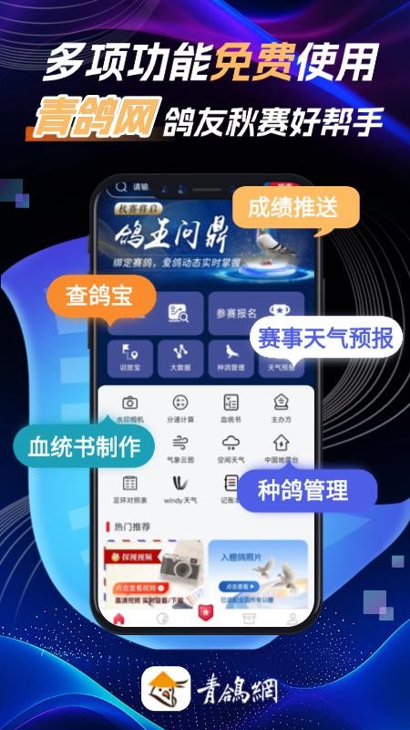 青鸽网(青年信鸽信息网)(5)