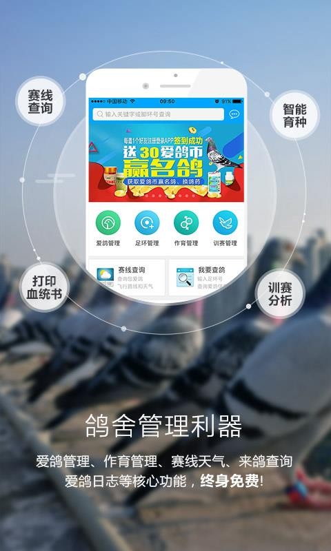 爱鸽者appv3.4.0(5)