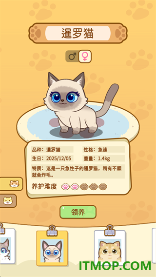 云爪星游戏