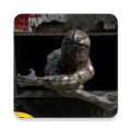 无尽梦魇怪异医院游戏 v1.3.4