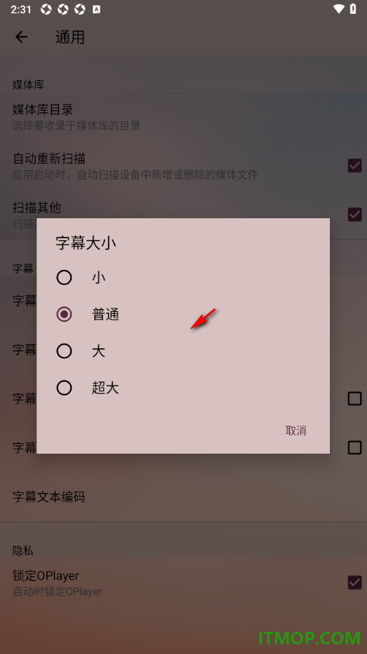 播放器OPlayer手机版设置将字幕调大显示的方法