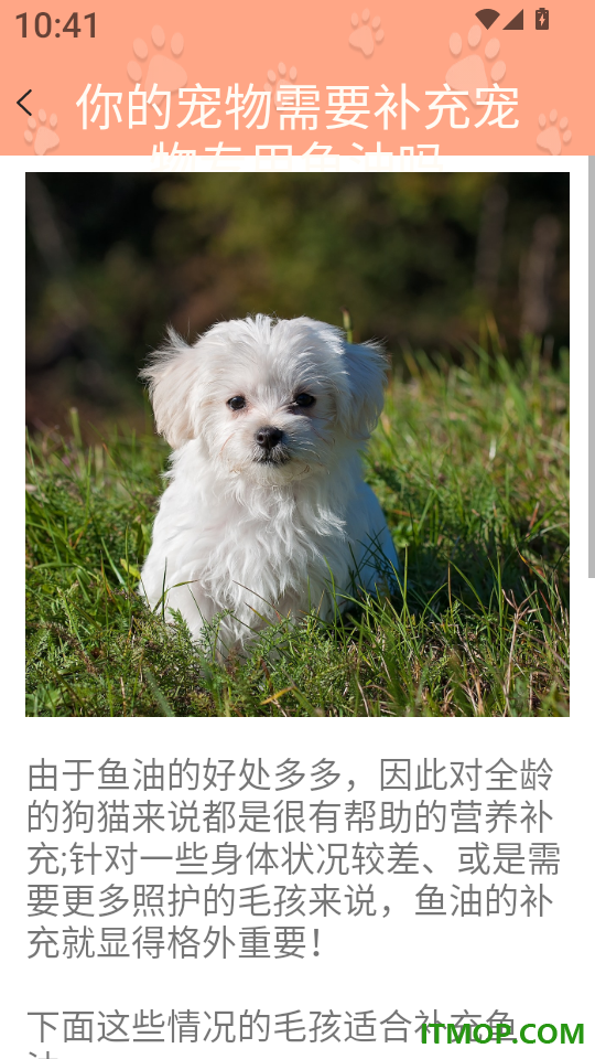狗狗翻译器app