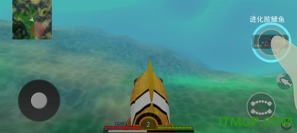 海底进化世界游戏