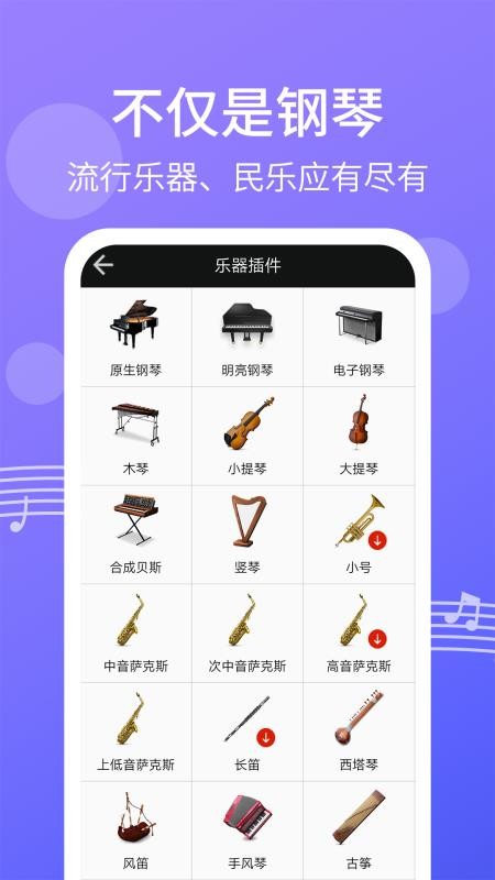 爱弹钢琴app(4)