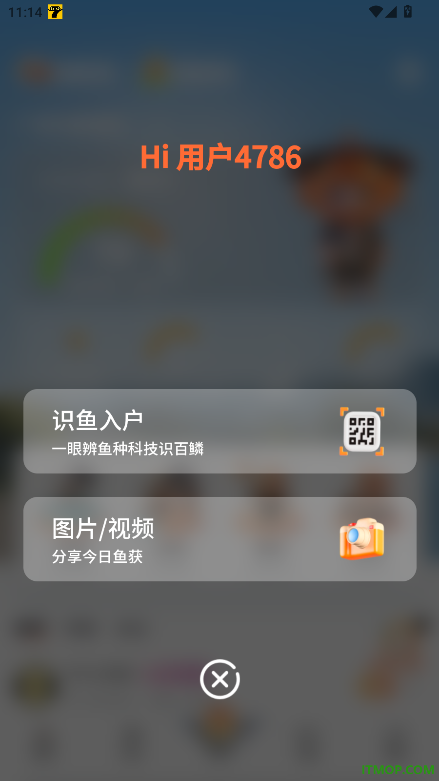 小红鱼官方版