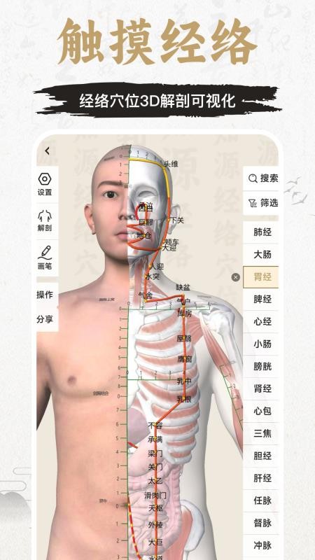 中济经络穴位手机版v3.17.0(4)