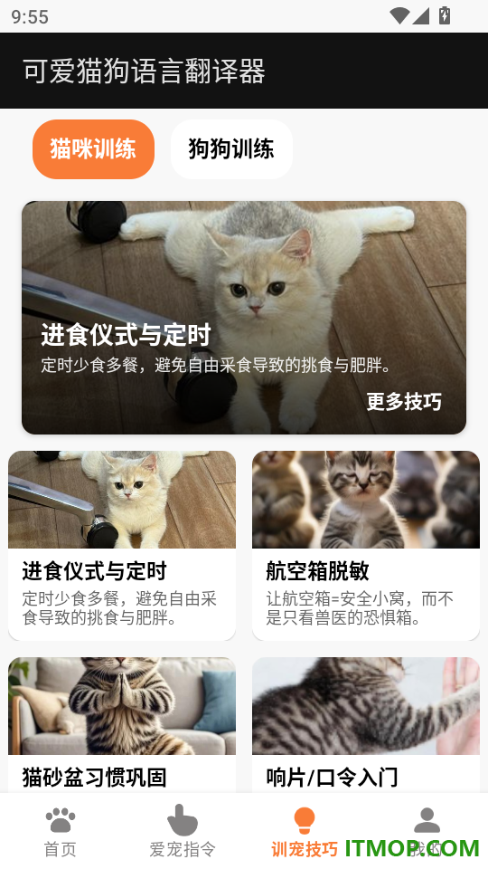 可爱猫狗语言翻译器免费版
