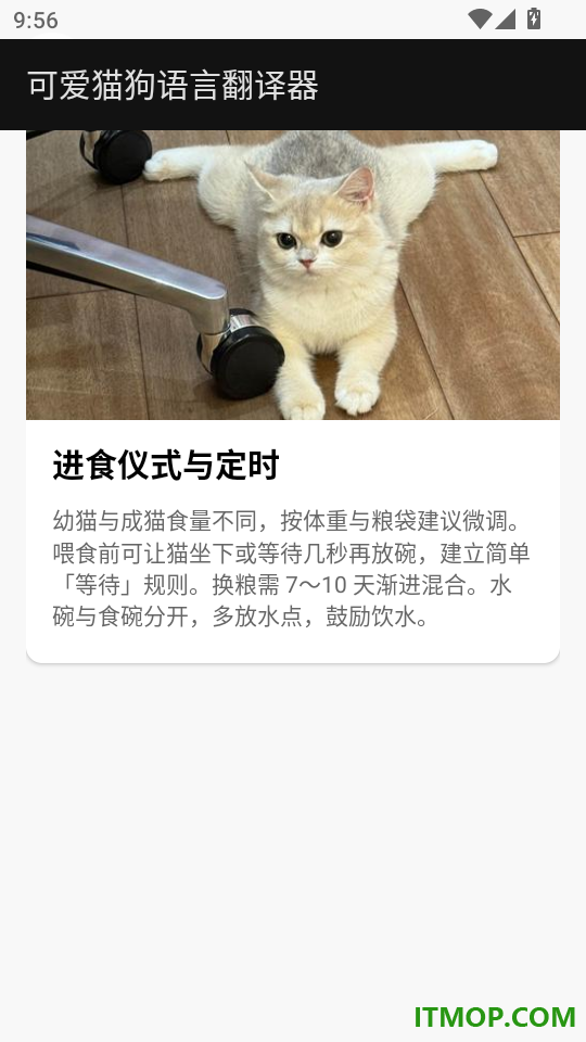 可爱猫狗语言翻译器免费版