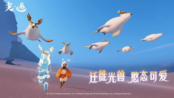 光遇网易版v0.15.8 3