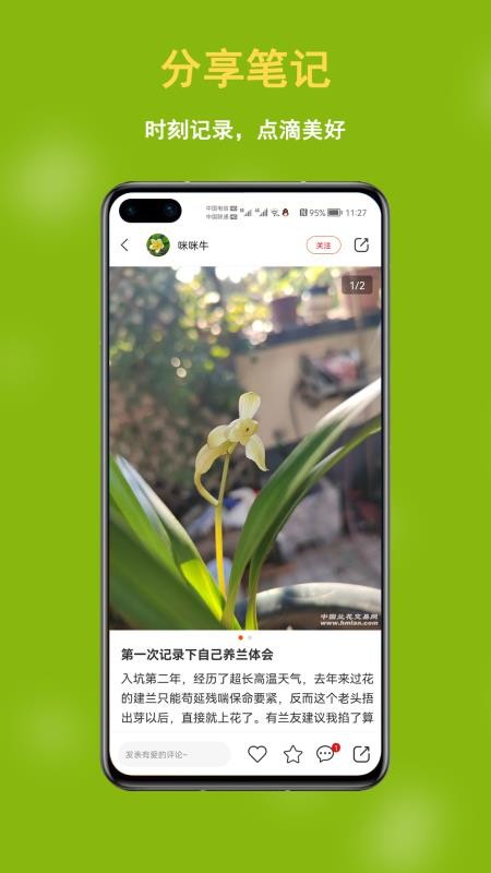 中国兰花交易网最新版v6.3.5 2