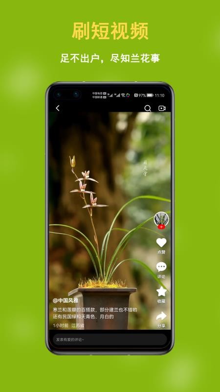 中国兰花交易网最新版v6.3.5 1